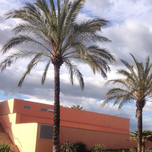 叔嫂偷偷做爱视频
