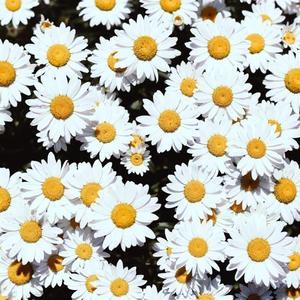 叔嫂偷偷做爱视频
