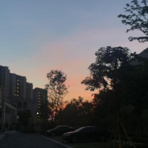 叔嫂偷偷做爱视频
